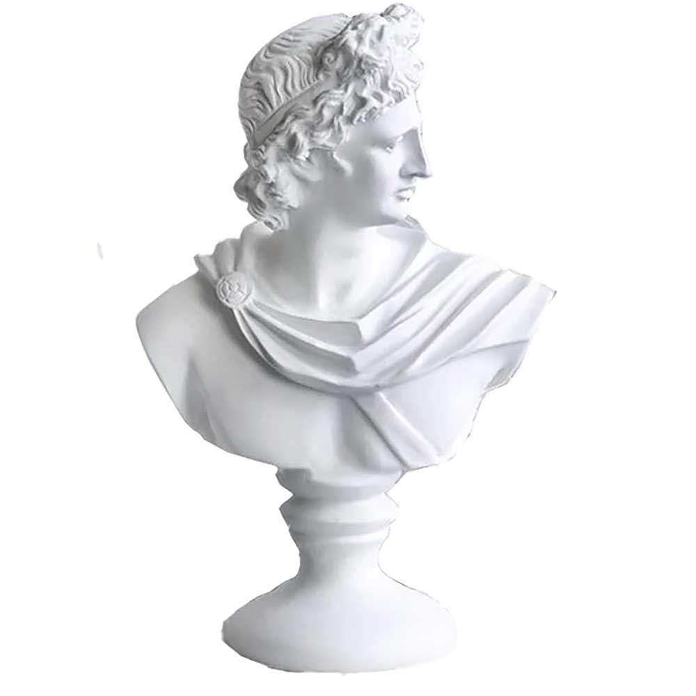 Apollo Belvedere Bust 30 cm