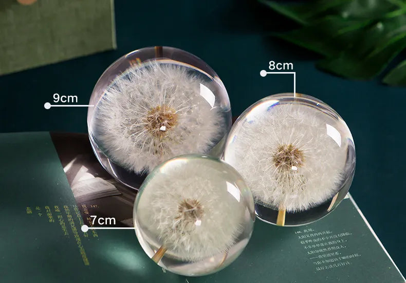 I See A Bright Future Dandelion Crystal Ball