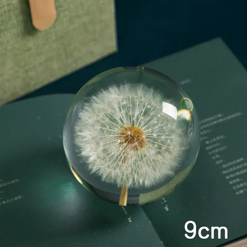 I See A Bright Future Dandelion Crystal Ball