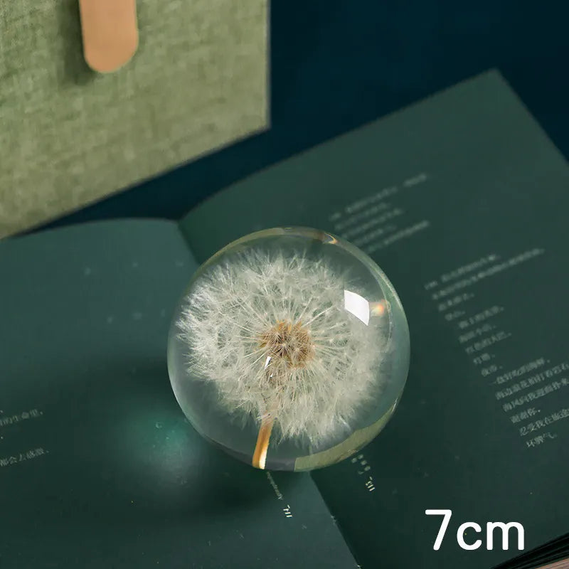 I See A Bright Future Dandelion Crystal Ball