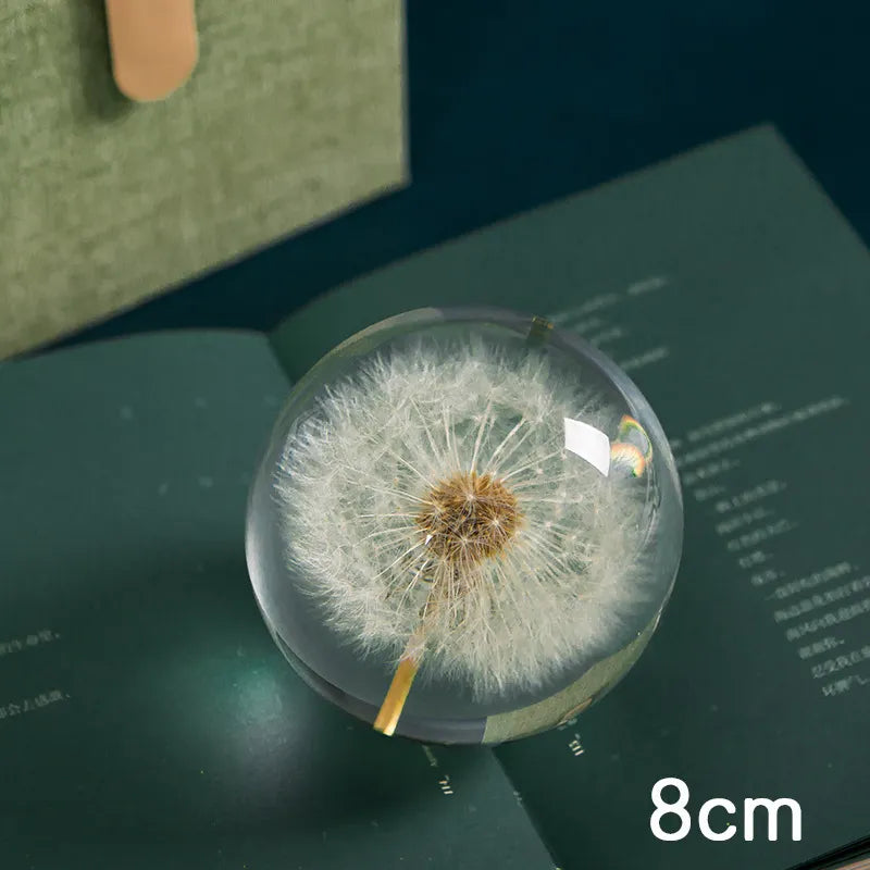 I See A Bright Future Dandelion Crystal Ball