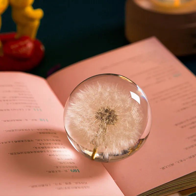 I See A Bright Future Dandelion Crystal Ball