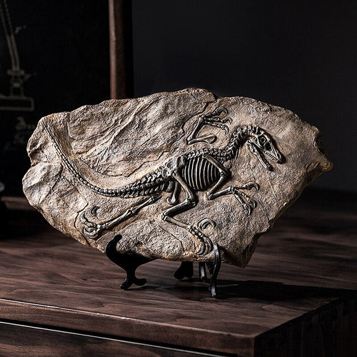 Dinosaur Fossil Decor