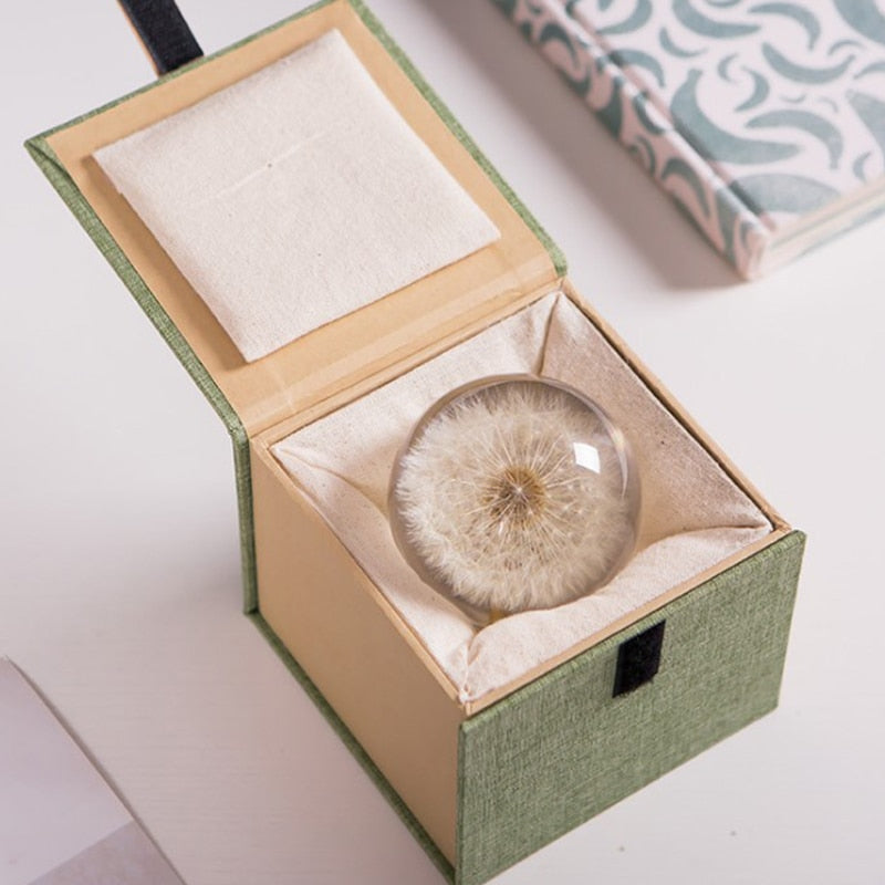 I See A Bright Future Dandelion Crystal Ball
