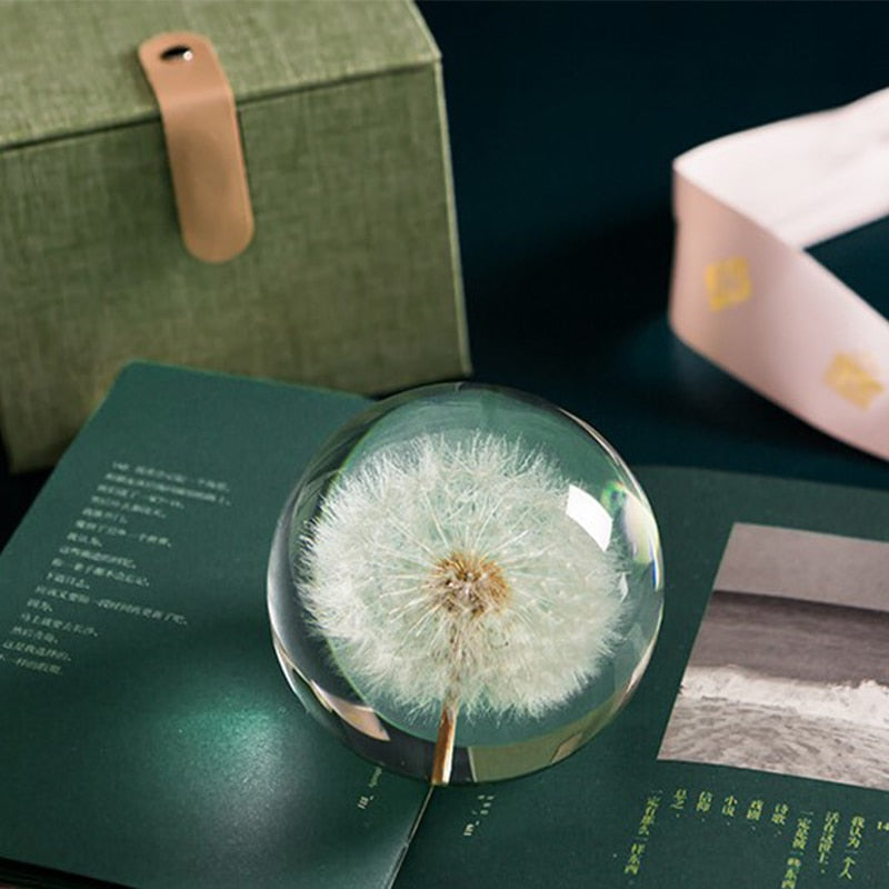I See A Bright Future Dandelion Crystal Ball