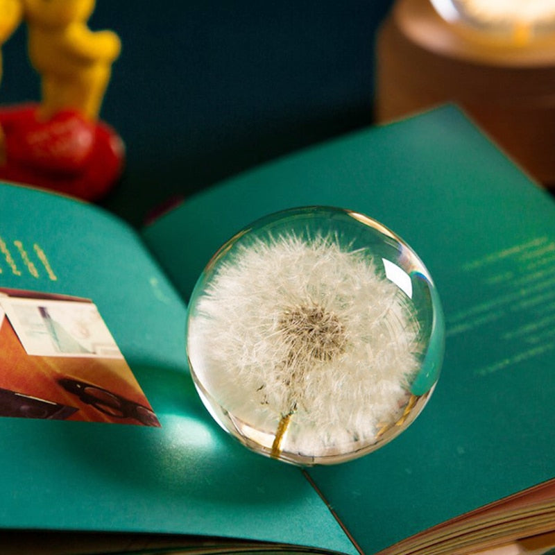 I See A Bright Future Dandelion Crystal Ball