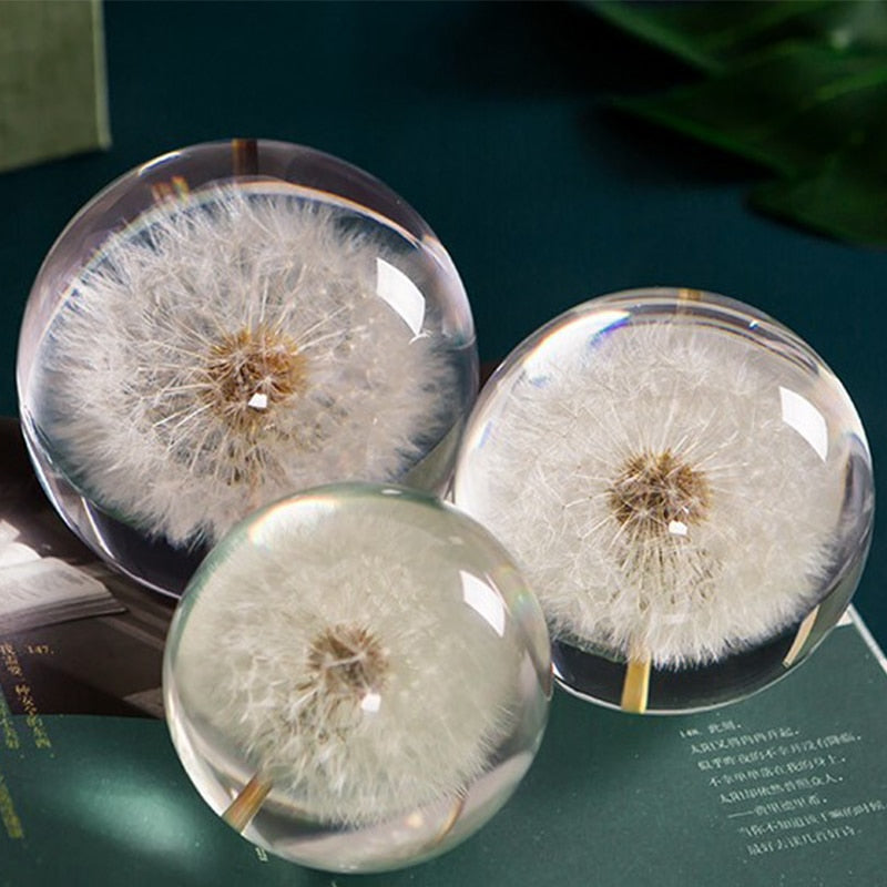 I See A Bright Future Dandelion Crystal Ball