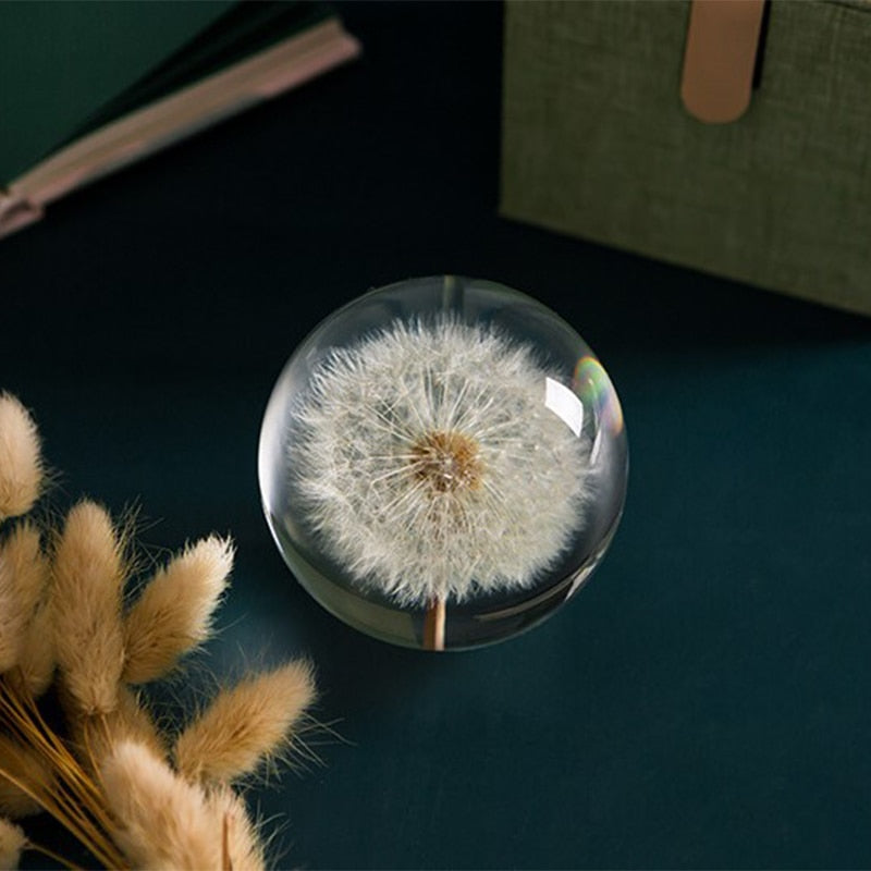 I See A Bright Future Dandelion Crystal Ball