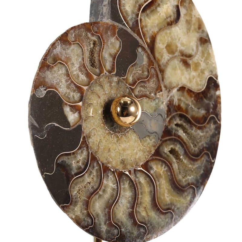 Modern Sculpture <br/> Museum Snail