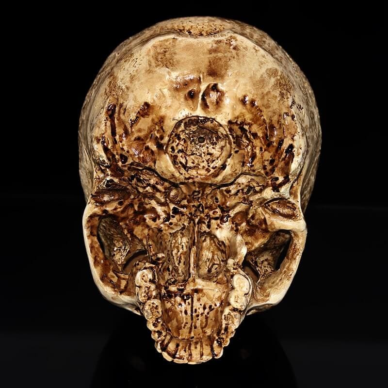 Skull Statue <br/> Ancient Skull 15 cm