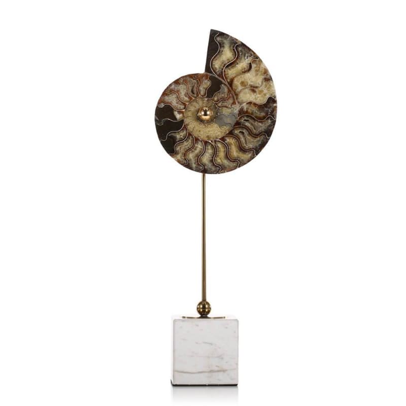Modern Sculpture <br/> Museum Snail