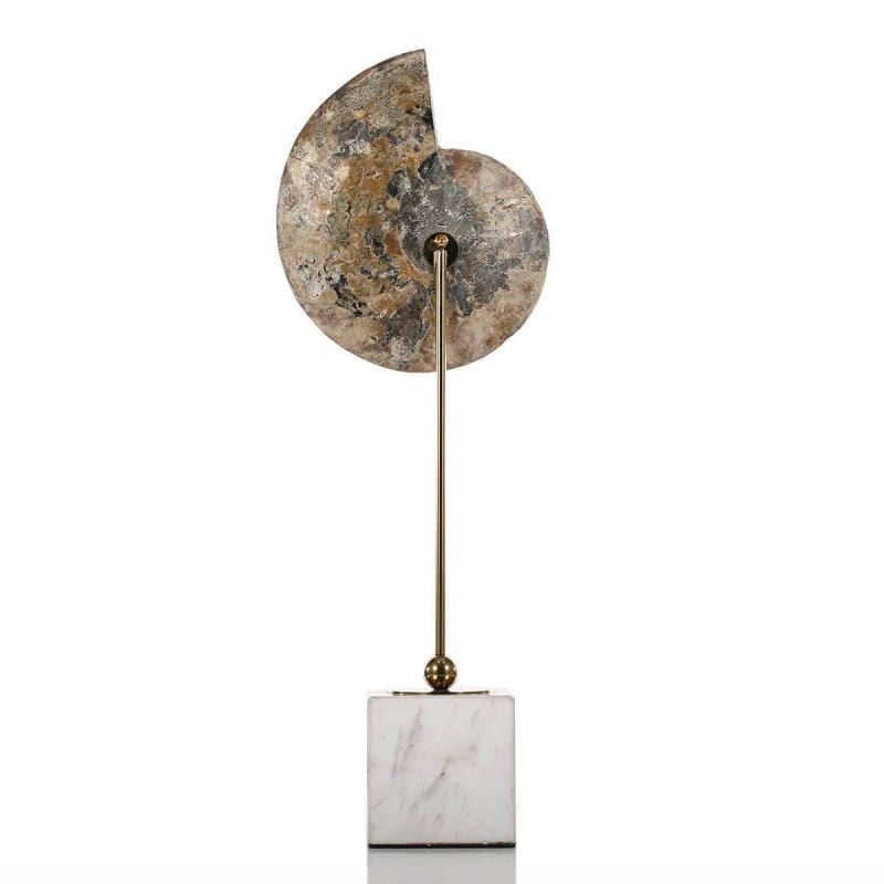 Modern Sculpture <br/> Museum Snail