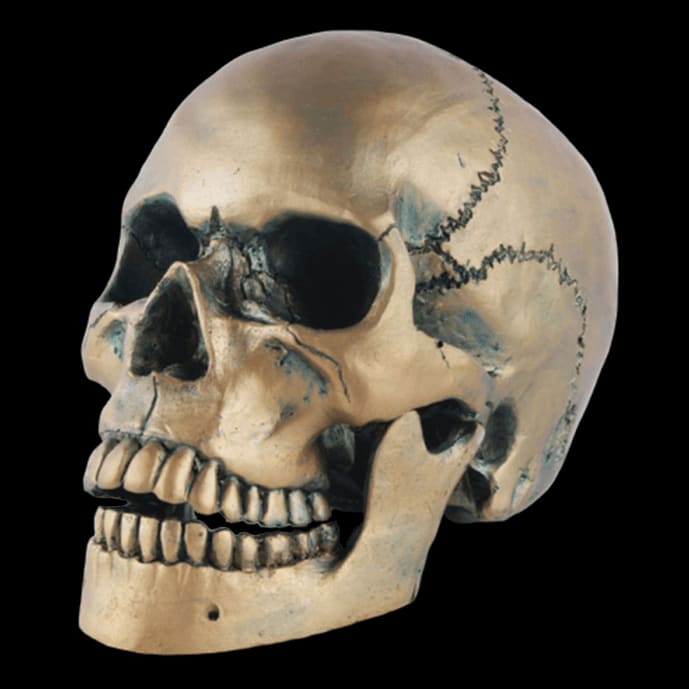 Skull Statue <br/> Bronze Skull 15 cm