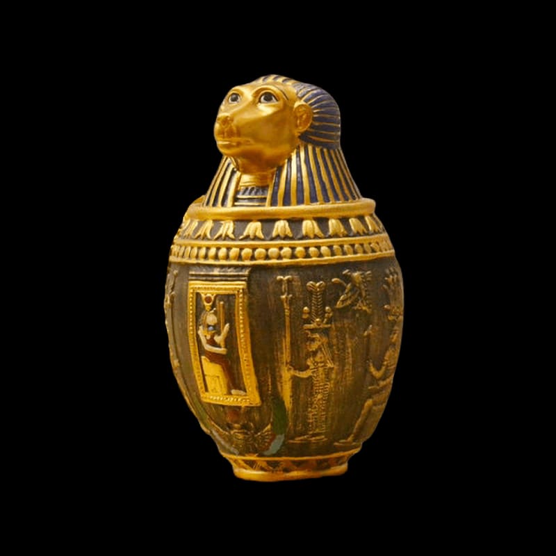 Anubis Canopic Vase <br> Sons of Horus