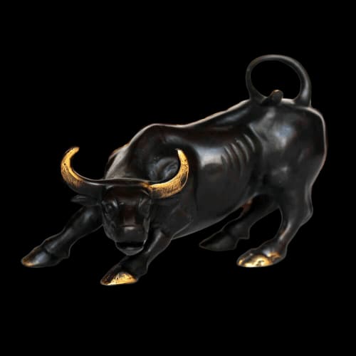 Bull Statue <br/> New York