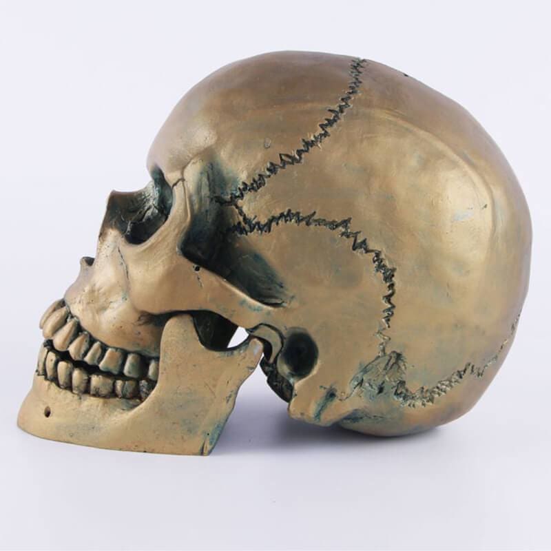 Skull Statue <br/> Bronze Skull 15 cm