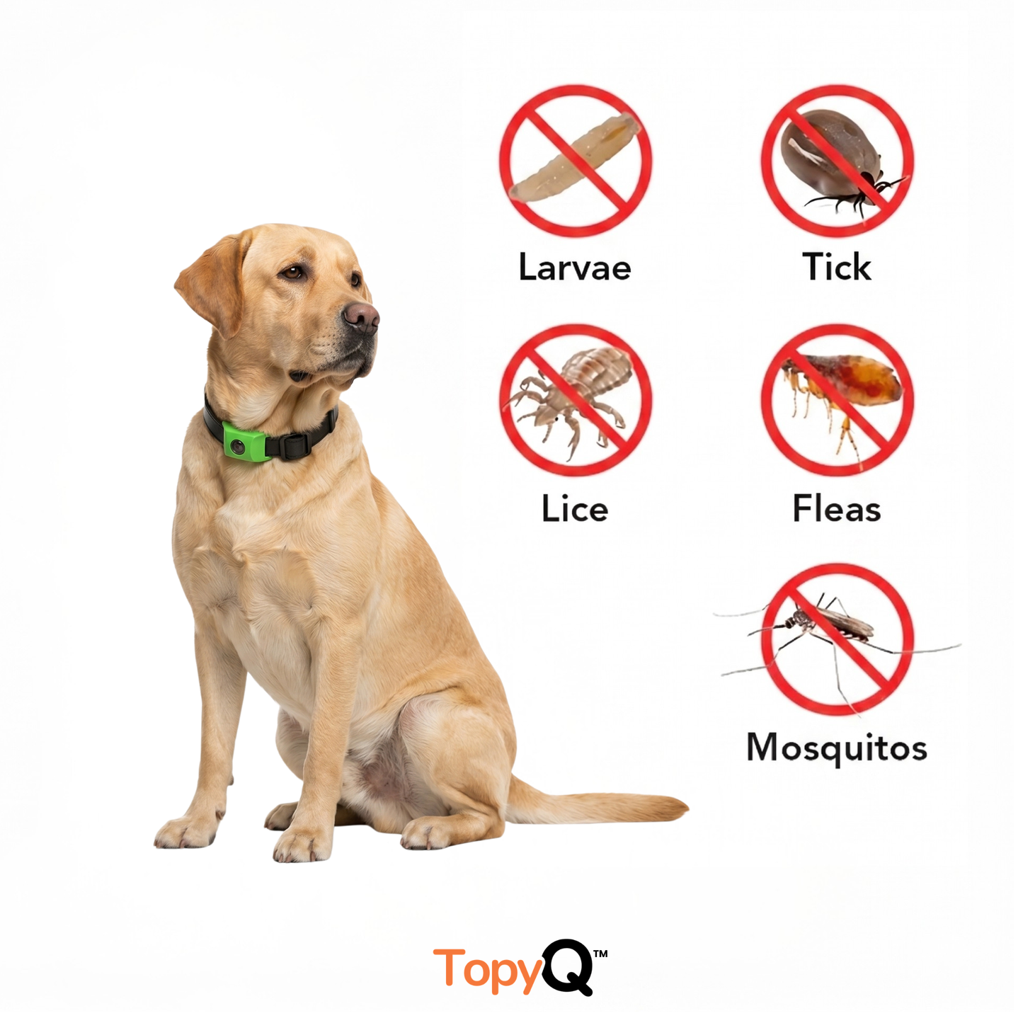 TopyQ™ 12 Months Flea and Tick Free for Dogs