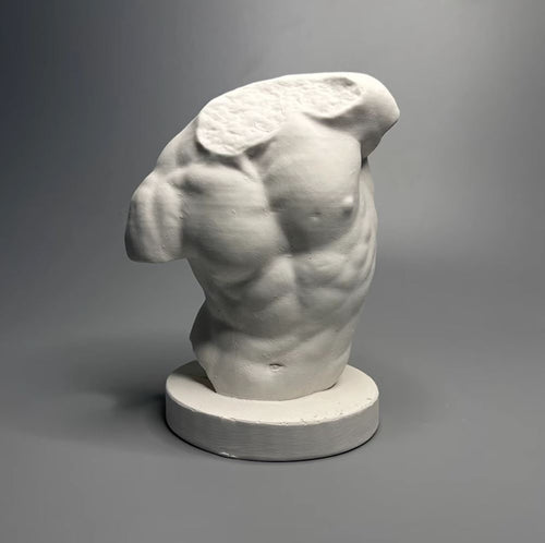 Male Torso Bust Statue 13 cm