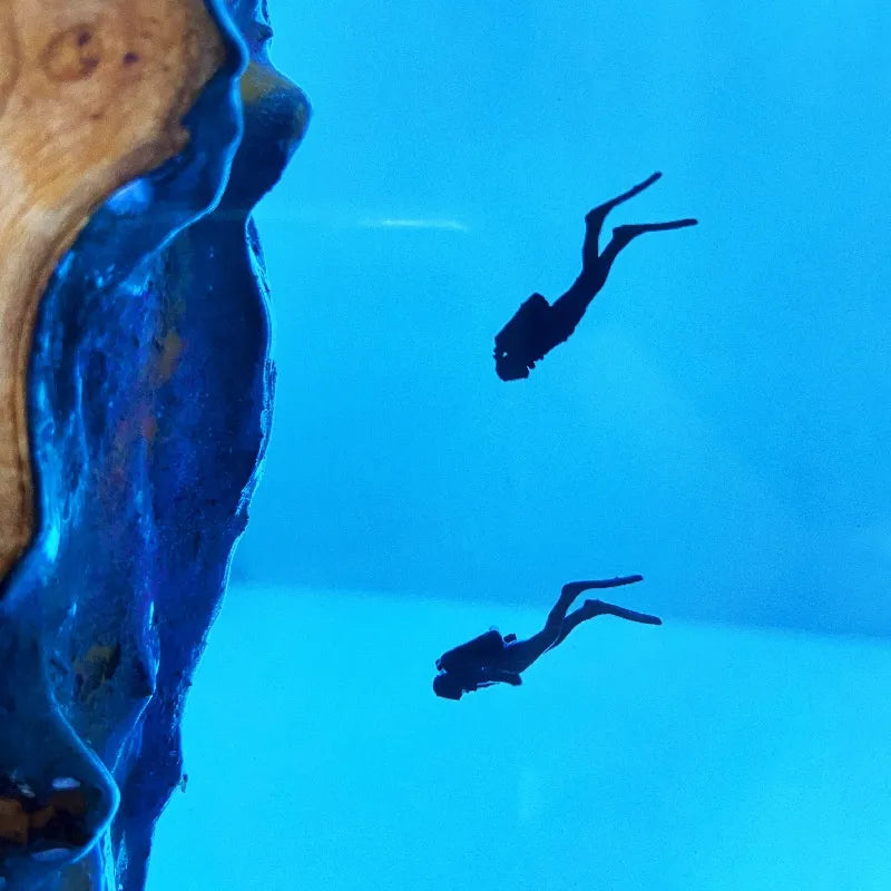 Glow Divers Light
