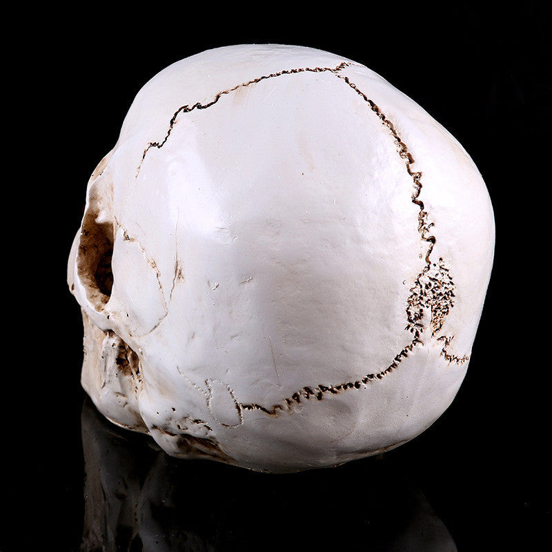 Realistic Skull Statue, Red Eyes, 19 cm