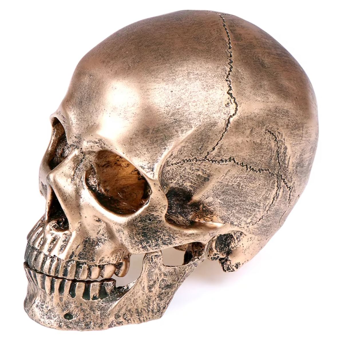 Skull Statue in Resin, Bronze Color, 14 cm