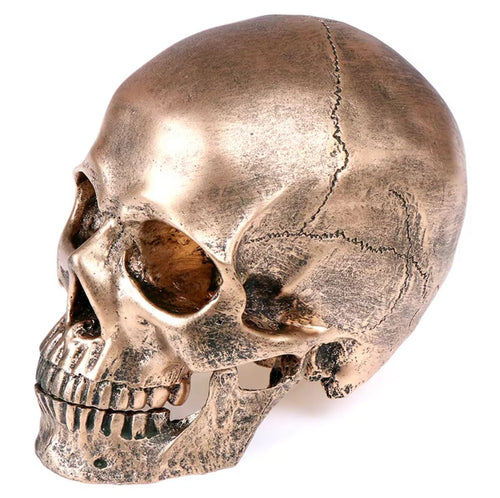 Skull Statue in Resin, Bronze Color, 14 cm