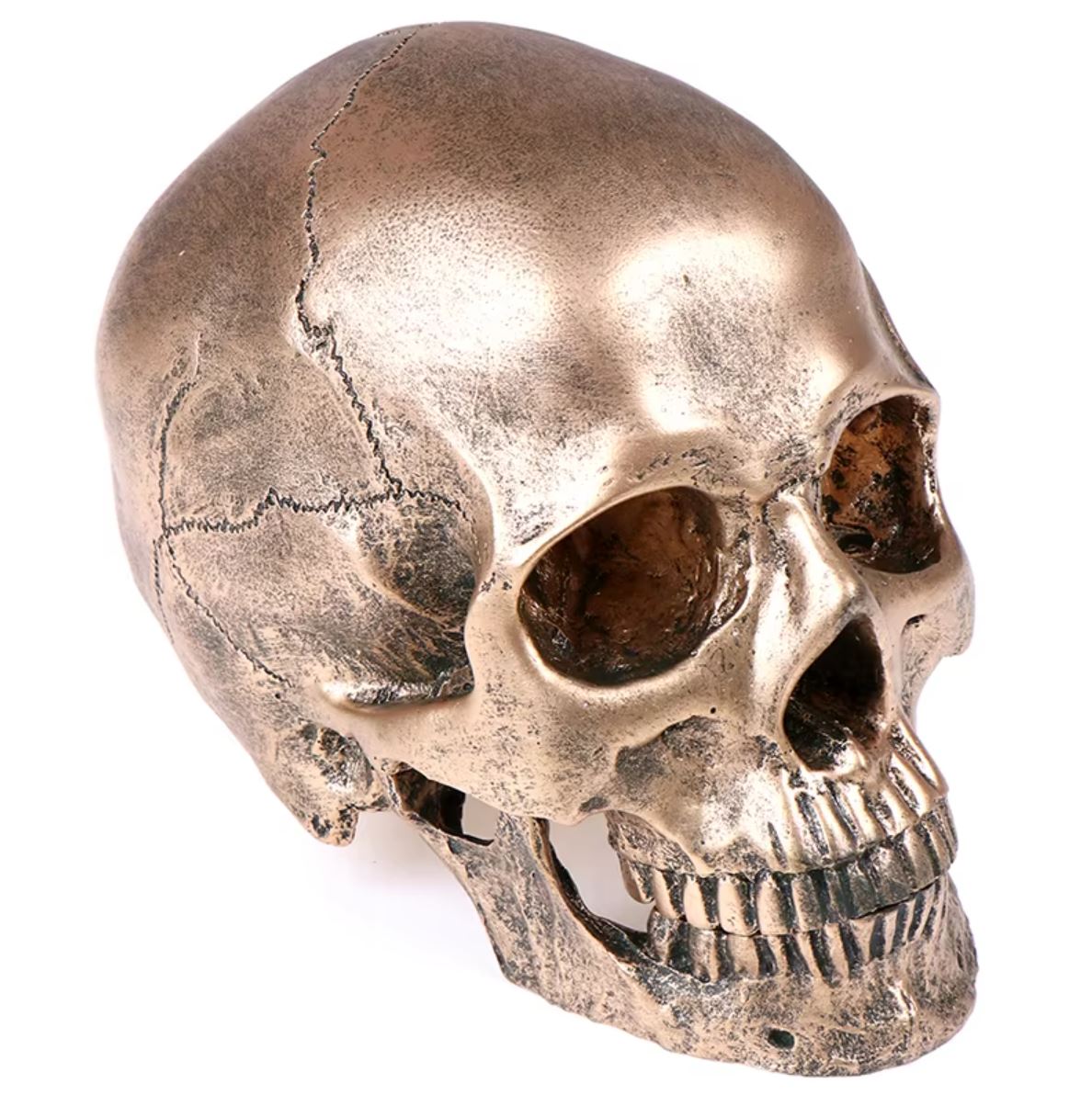 Skull Statue in Resin, Bronze Color, 14 cm