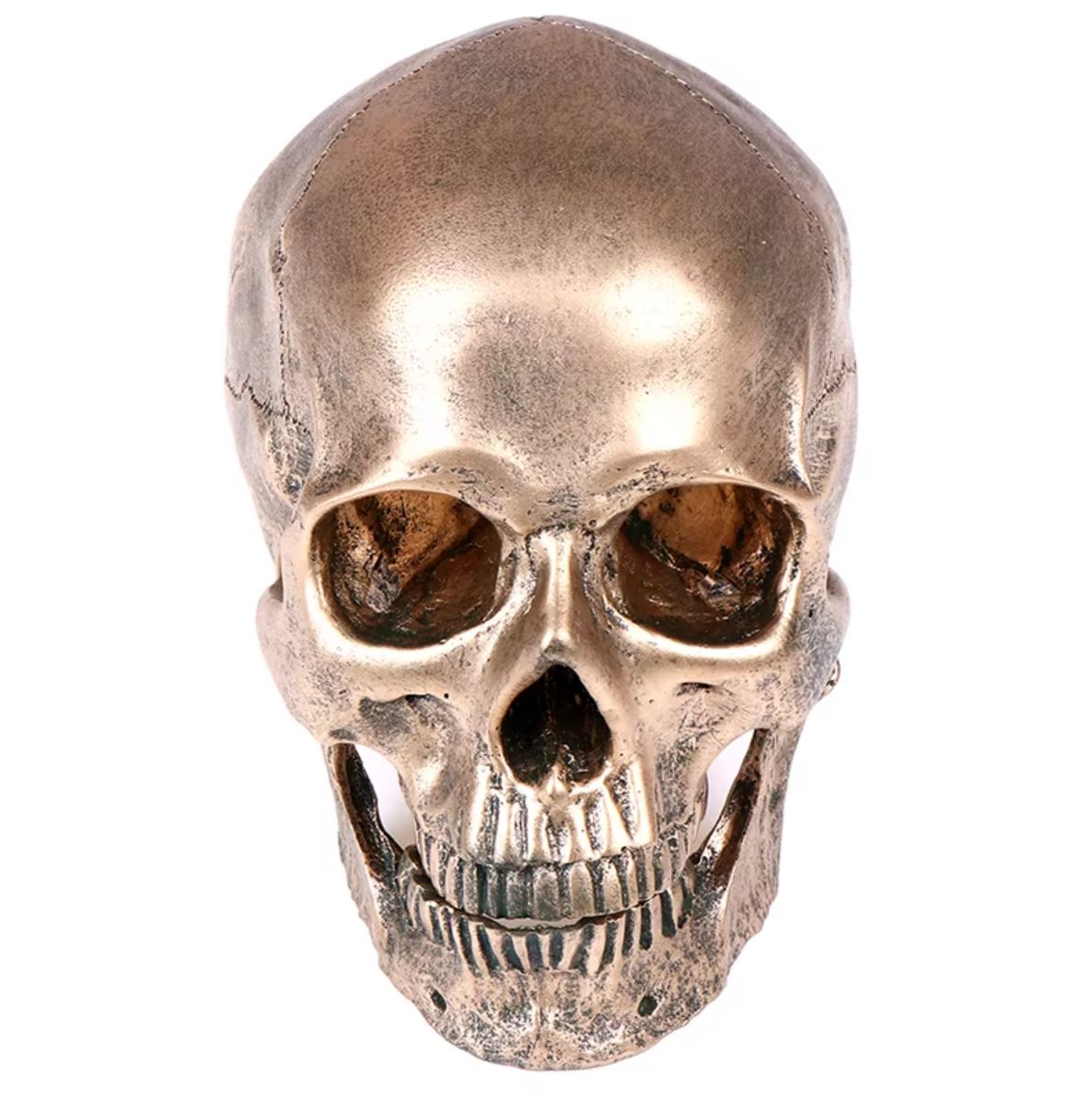 Skull Statue in Resin, Bronze Color, 14 cm
