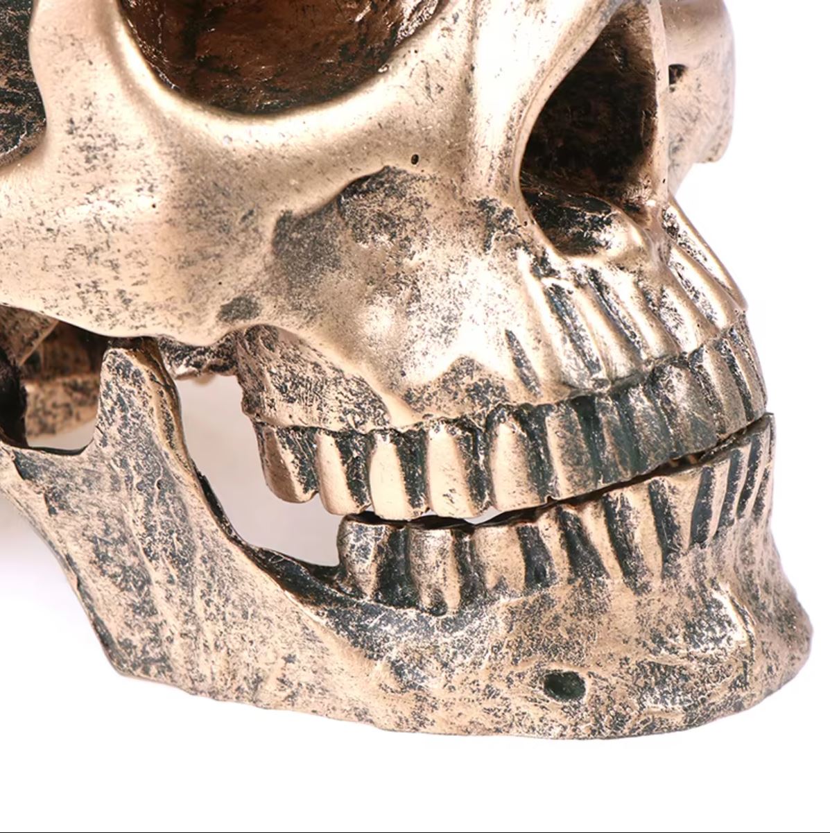 Skull Statue in Resin, Bronze Color, 14 cm