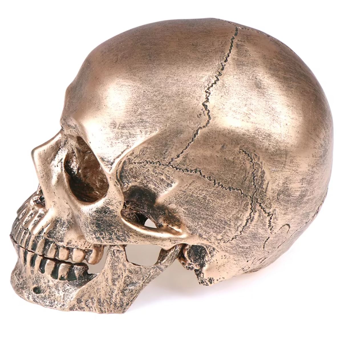 Skull Statue in Resin, Bronze Color, 14 cm