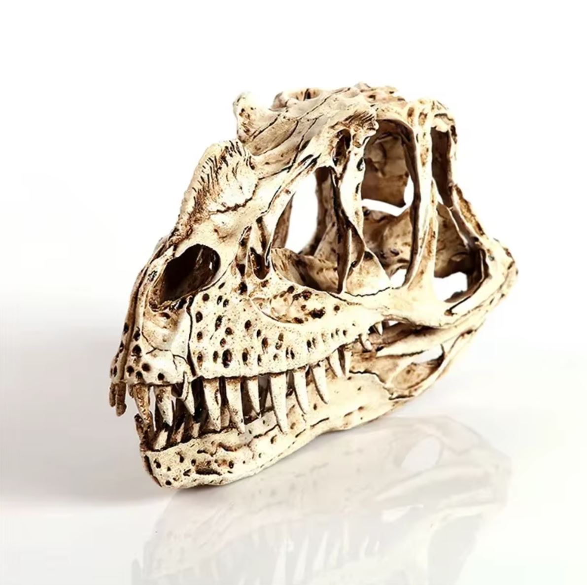Ceratosaurus Dinosaur Skull Statue 11 cm