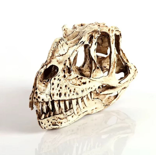 Ceratosaurus Dinosaur Skull Statue 11 cm