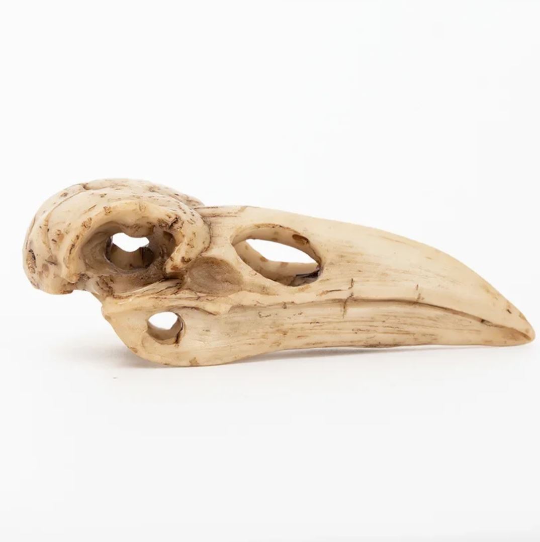 Bird Skull Statue 4 cm