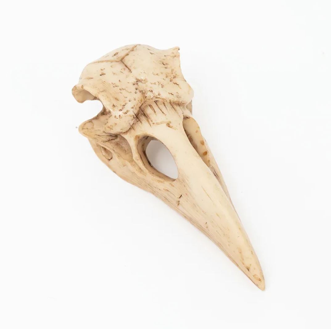 Bird Skull Statue 4 cm