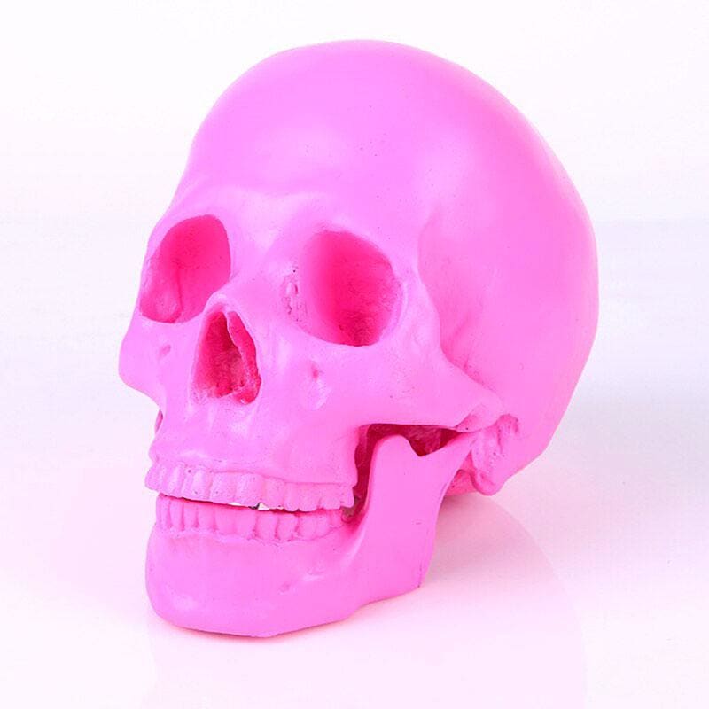 Skull Statue <br/> Decorative Skull