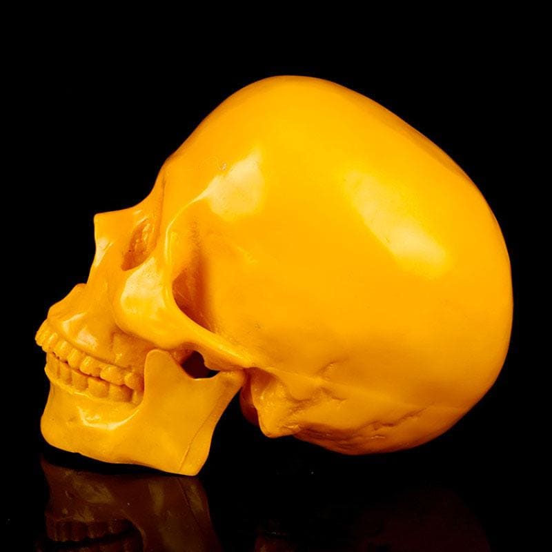 Skull Statue <br/> Decorative Skull