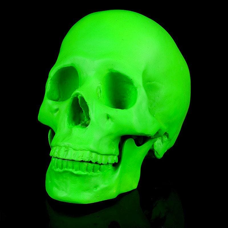 Skull Statue <br/> Decorative Skull