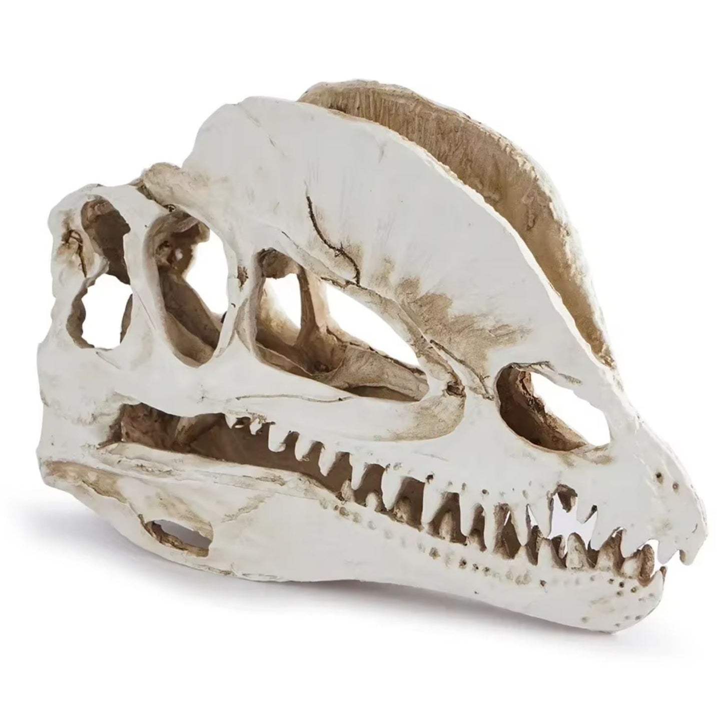 Dinosaur Skull Statue 12 cm
