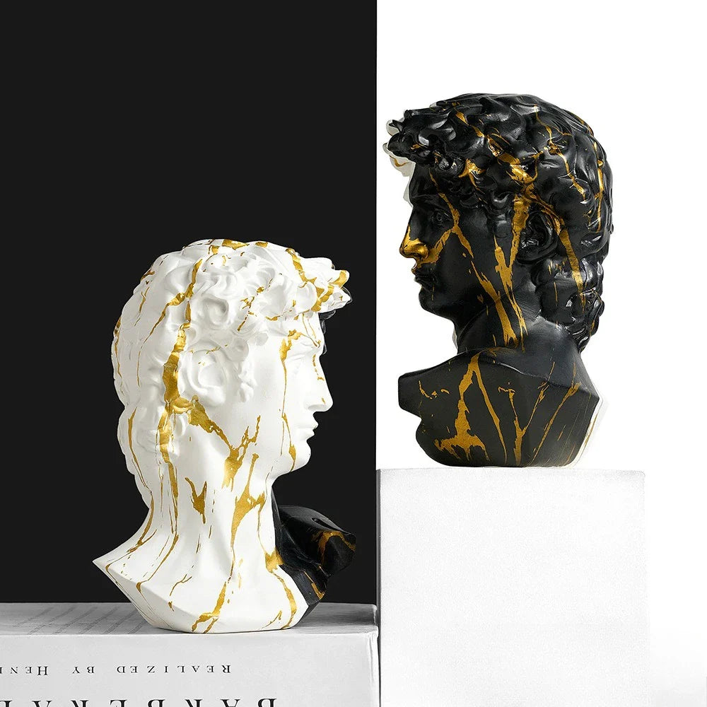 Duality of David™