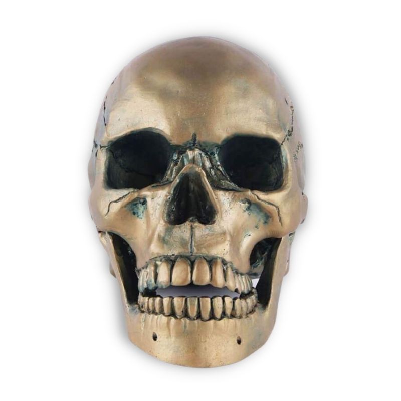 Skull Statue <br/> Bronze Skull 15 cm
