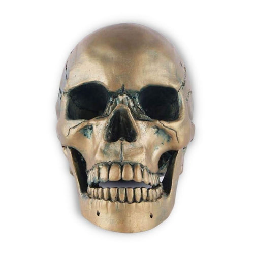 Skull Statue <br/> Bronze Skull 15 cm