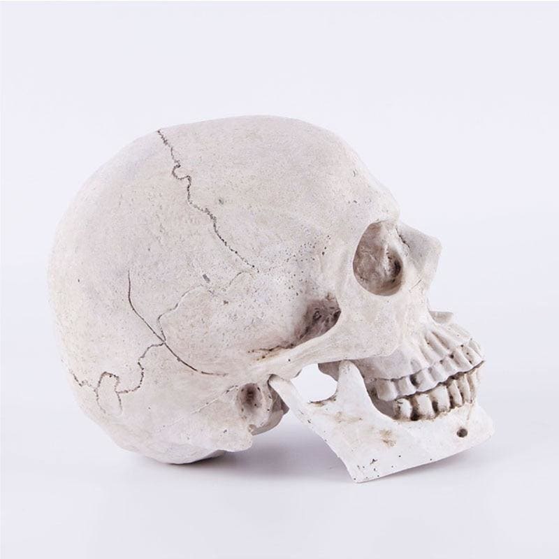 Skull Statue <br/> Decor 14 cm