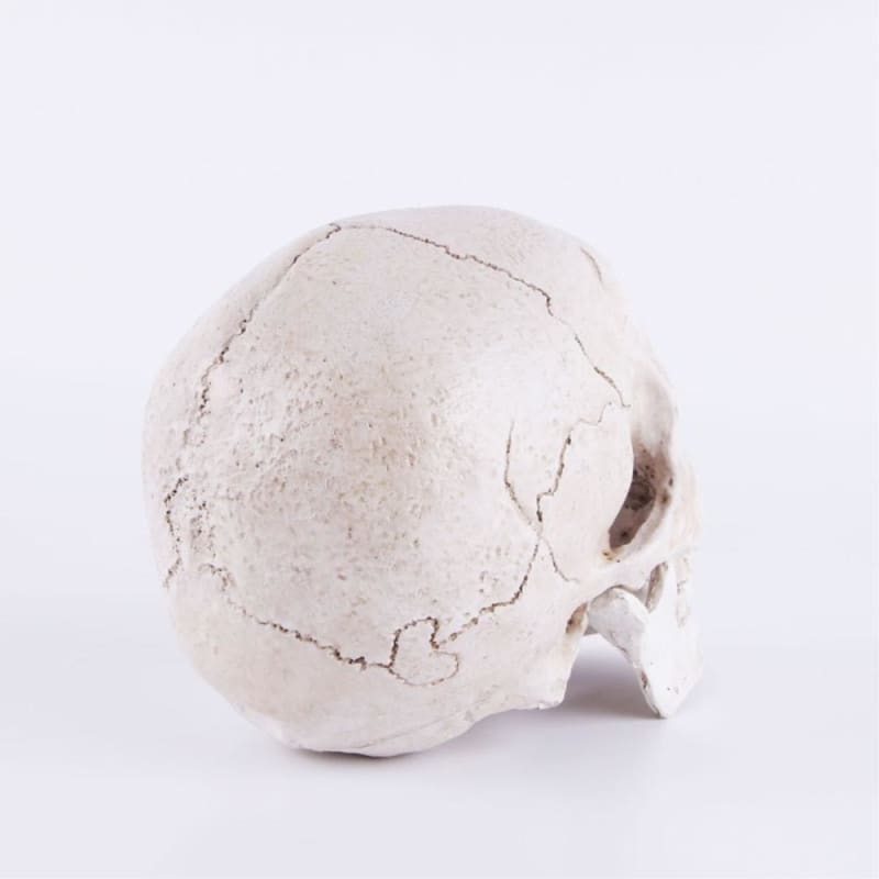Skull Statue <br/> Decor 14 cm