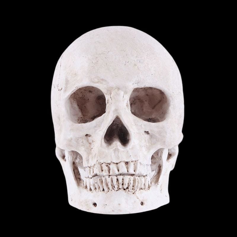 Skull Statue <br/> Decor 14 cm