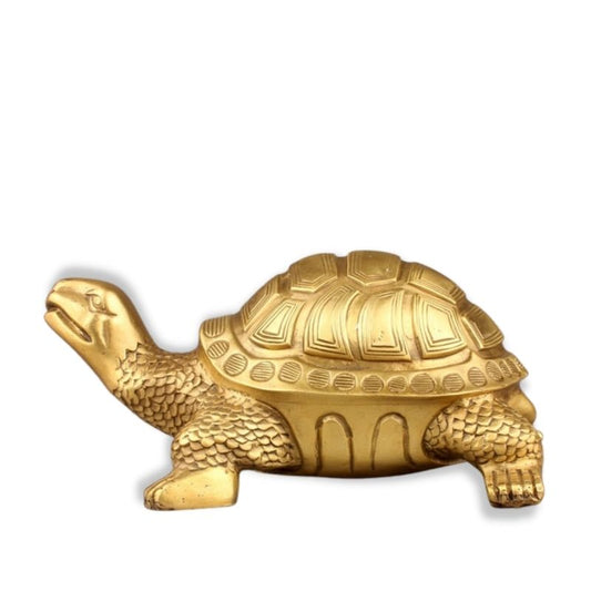 Turtle Statue <br/> Outdoor