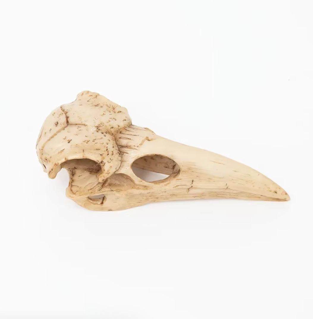 Bird Skull Statue 4 cm