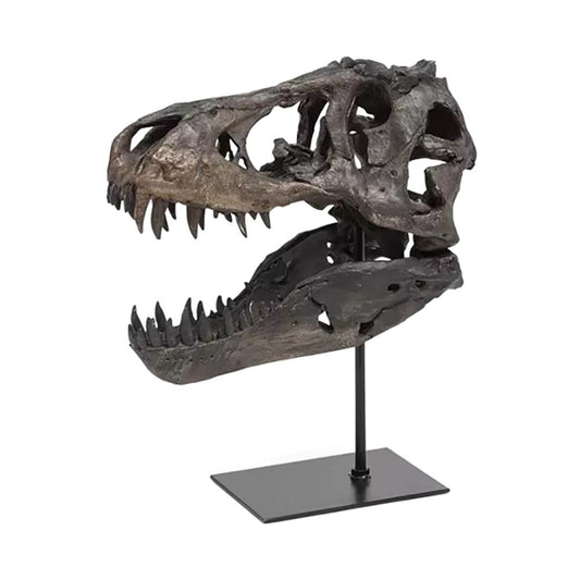 Tyrannosaurus Dinosaur Skull Statue 11 cm